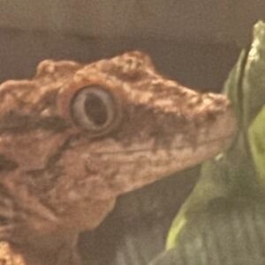 Meet your Posher, Kelsey dawn